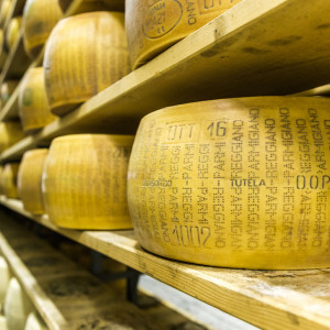 Parmezan Parmigiano Reggiano di Vacche Rosse 30 luni