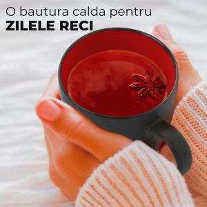 Set 6 Cani de cafea, colectia Le Papillon, ceramica, interior rosu, 350 ml - Img 5