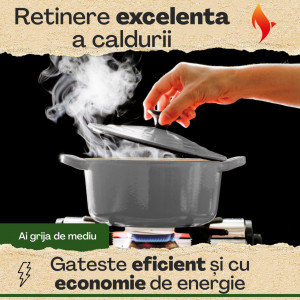 Ceaun din fonta emailata, Funkenflug, tip cuptor olandez, cu capac 26 cm, volum 5 l, antiaderent, gri, e-book cu retete inclus