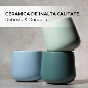 Set 4 Cani pentru cafea, colectia Nami, ceramica, Pastel Coast multicolor, 250 ml - Img 7
