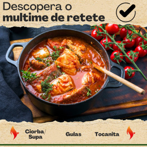 Ceaun cuptor olandez din fonta, Funkenflug, cu capac tigaie 2 in 1 reversibil, 25cm, 4.7 l, negru, cu suport oala si manere din silicon, e-book retete inclus