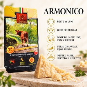 Pachet Parmigiano Reggiano D.O.P. Vacche Rosse, Contrasto 24 + 40 luni, 2 × 500 g - Img 3