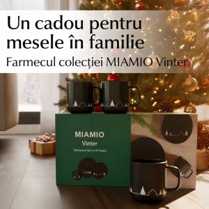 Serviciu de masa de Craciun pentru 8 persoane, MIAMIO Vinter, 24 piese, ceramica, negru - Img 8