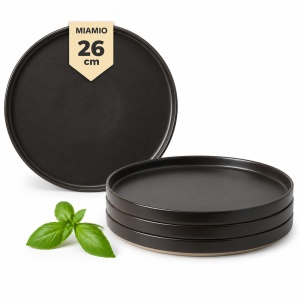 Set 4 Farfurii intinse fel principal, Sierra Basalt, ceramica, 26 cm, antracit