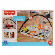 FISHER PRICE SALTEA MUZICALA 3 IN 1 CU CENTRU DE ACTIVITATI
