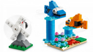 LEGO CLASSIC CARAMIZI SI FUNCTII 11019