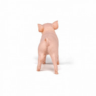 PAPO FIGURINA PURCICA