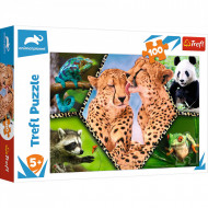 PUZZLE TREFL 100 NATURA FRUMOASA