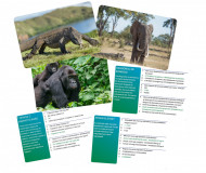 JOC INTERACTIV LUMEA ANIMALELOR IN LIMBA ROMANA