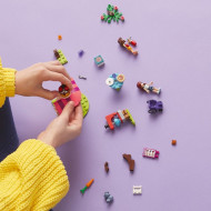 LEGO FRIENDS CLATITARIE 41753