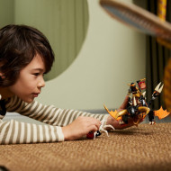 LEGO NINJAGO DRAGONUL DE PAMANT EVO A LUI COLE 71782