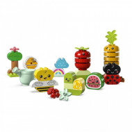 LEGO DUPLO GRADINA ECOLOGICA 10984