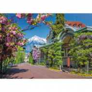 PUZZLE 25 PLANSA PATRULA CATELUSILOR