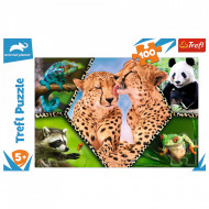 PUZZLE TREFL 100 NATURA FRUMOASA