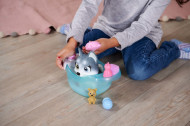 PAMPER PETZ CATELUSUL HUSKY LA BAIE