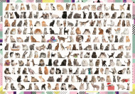 PUZZLE TREFL 1000 PISICI 208 LA NUMAR