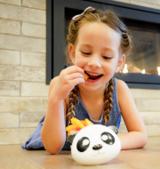 RECIPIENT HRANA BEBE, MELII, MODEL PANDA