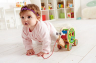 HAPE JUCARIE DE TRAGERE -MELC