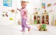 HAPE JUCARIE DE TRAGERE -MELC