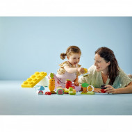 LEGO DUPLO GRADINA ECOLOGICA 10984