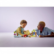 LEGO DUPLO PIATA DE PRODUSE BIO 10983