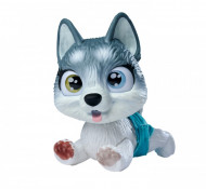 PAMPER PETZ CATELUSUL HUSKY LA BAIE