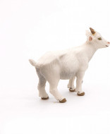 PAPO FIGURINA IED ALB