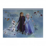 SET DESEN GENTUTA DE CREATIE FROZEN