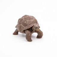 PAPO FIGURINA TESTOASA GALAPAGOS