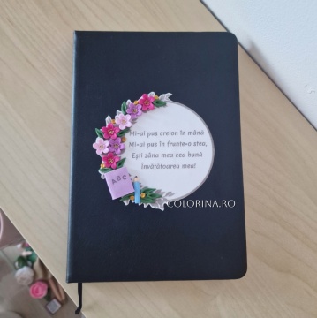 Agenda Invatatoare 4