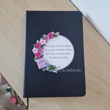 Agenda Invatatoare 4