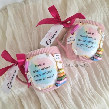 Cana Invatatoare/ Educatoare - rainbow