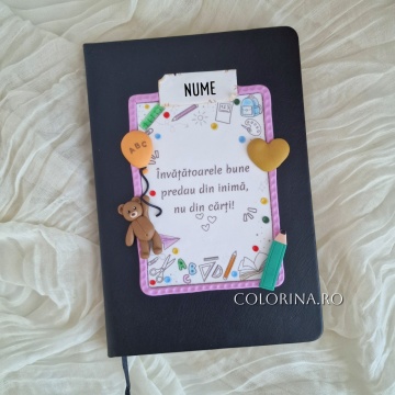 Agenda Invatatoare 2