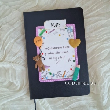 Agenda Invatatoare 2