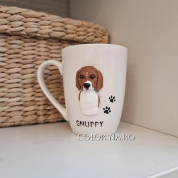 Cana Beagle - Img 2