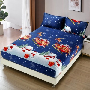 Cearsaf de pat Cocolino cu elastic si 2 fete de perna Merry V15 180x200cm