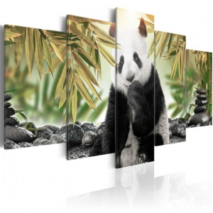 Festmény Cute Panda Bear, 200x100 cm