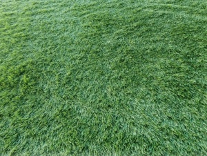 Gazon Artificial, Lion, Verde, 300x800 cm, Delta - Img 4