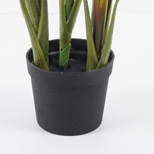 Dekoratív növény cserépben, Cycas, zöld, 55x55x80 cm - Img 3