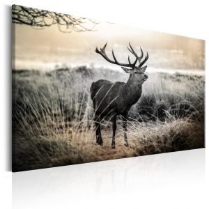 Festmény Dangerous Horns, 120x80 cm