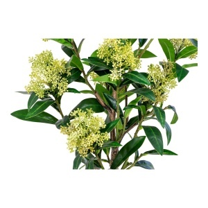Planta artificiala decorativa Skimmia Skimmia, Verde, 40x40x75 cm - Img 2