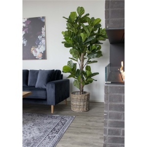 Planta artificiala decorativa Smochin lira, Verde, 81x93x190 cm