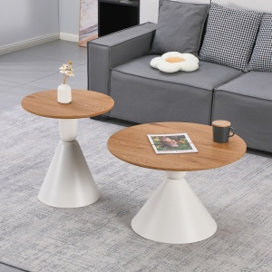 Set masute de cafea, 2 buc, Obsidian, Pako, Alb 70x70x43 cm