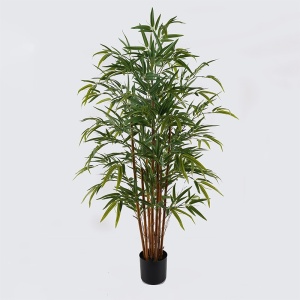 Dekoratív növény cserépben, Rhapis Palm, zöld, 80x80x180 cm