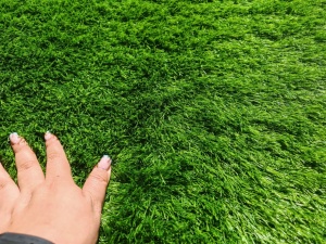 Gazon Artificial, Sri Lanka, Verde, 300x500 cm, Delta - Img 2
