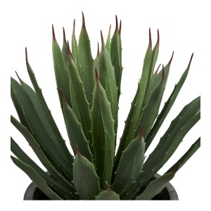 Planta artificiala decorativa Agava Agave, Gri, 32x31x41 cm - Img 4