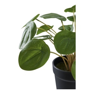 Planta artificiala decorativa Pelia Pelia, Verde, 28x28x14 cm - Img 4