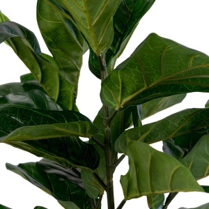 Planta artificiala decorativa Smochin lira, Verde, 36x46x100 cm - Img 3