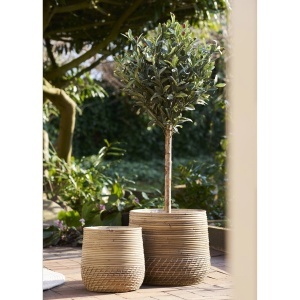 Set 2 piese Cosuri Moro Baskets, Natural, 38x38x34 cm - Img 2