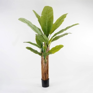 Dekoratív növény cserépben, Banana Tree, zöld, 53x53x190 cm